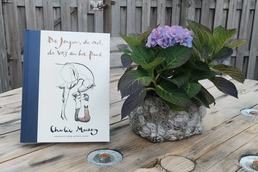 whatsapp image 2021 07 07 at 212010