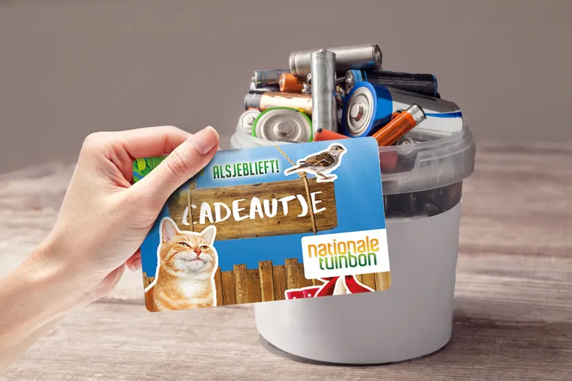 whatsapp image 2021 08 12 at 180831