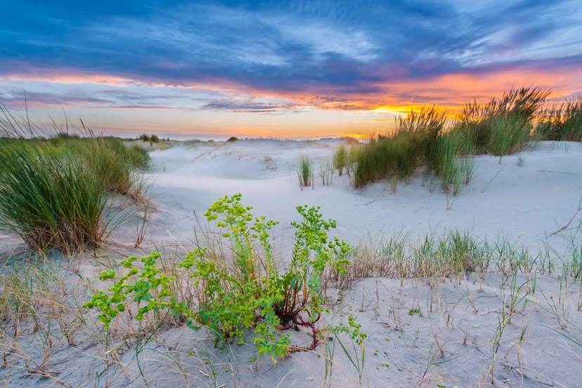 whatsapp image 2021 08 17 at 134407