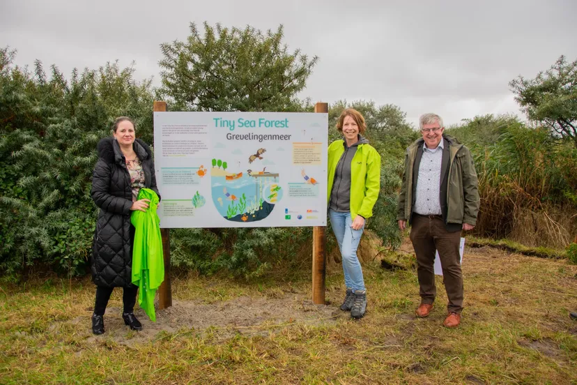 whatsapp image 2021 10 17 at 095353