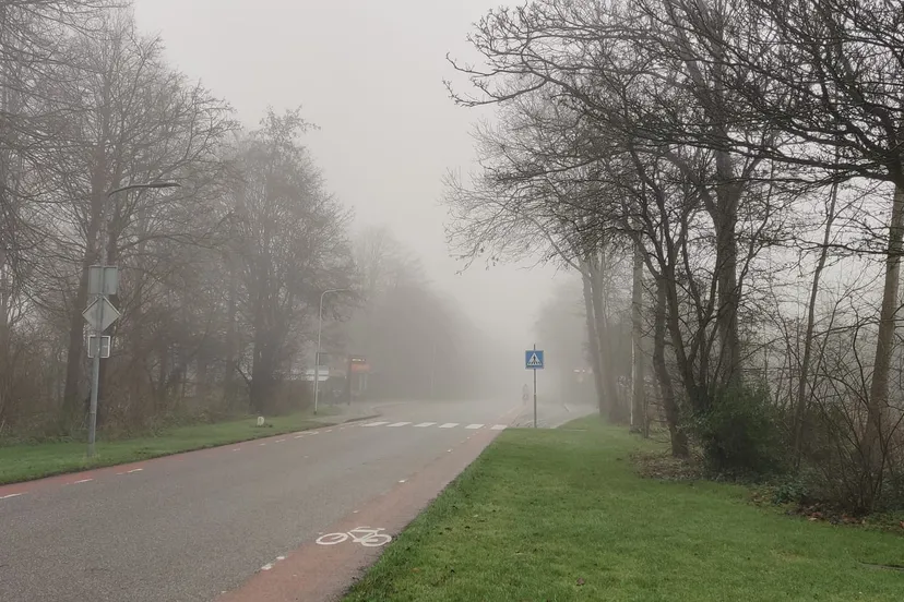 whatsapp image 2022 01 13 at 103623 1