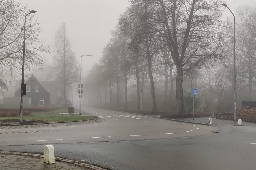 whatsapp image 2022 01 13 at 103623