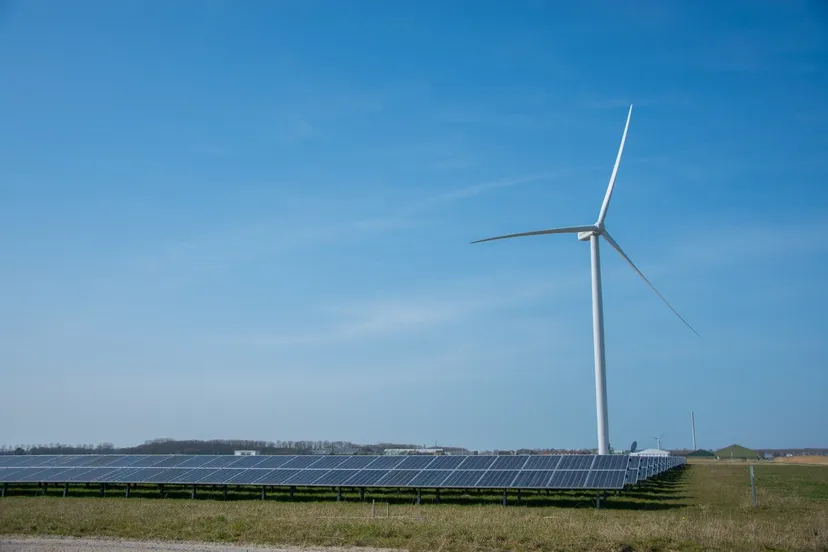 whatsapp image 2022 03 28 at 195513 2