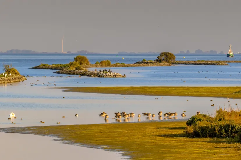 whatsapp image 2022 05 23 at 10232 pm