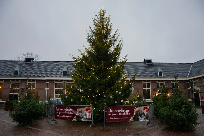 whatsapp image 2022 12 24 at 101613