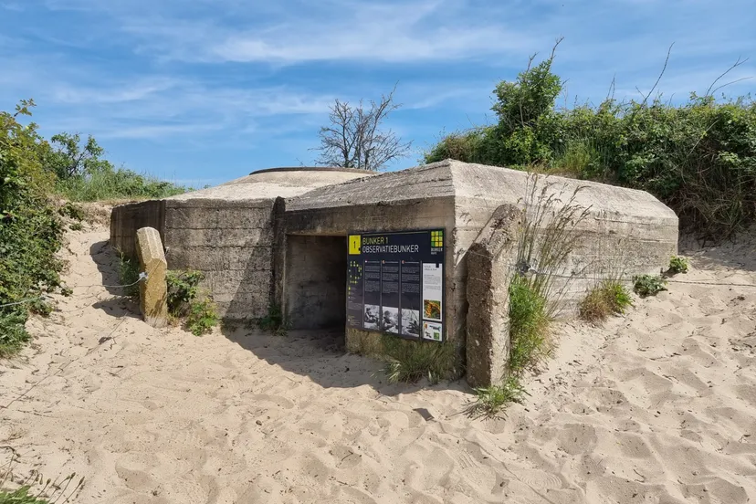 whatsapp image 2023 05 23 at 091214