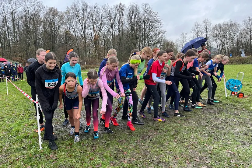 whatsapp image 2023 12 12 at 120545