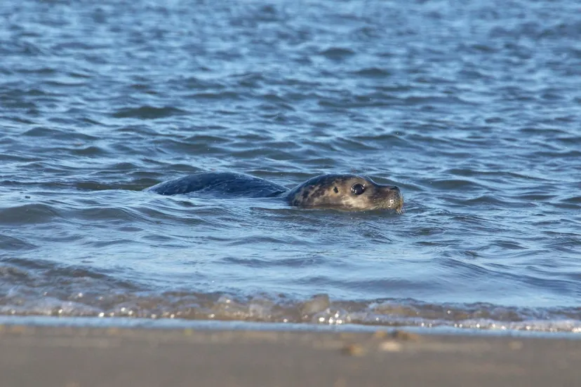 whatsapp image 2024 01 04 at 114817