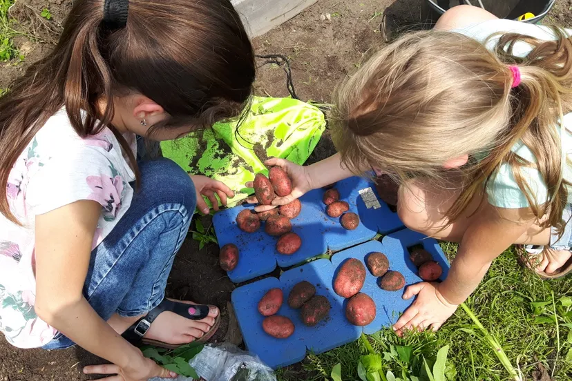 whatsapp image 2024 04 03 at 104959 am