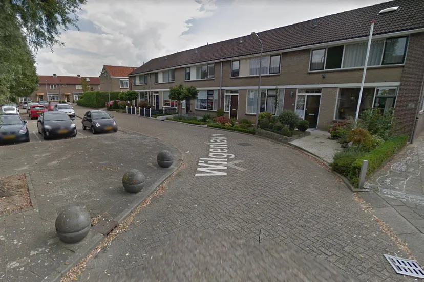 wilgenlaan middelharnis