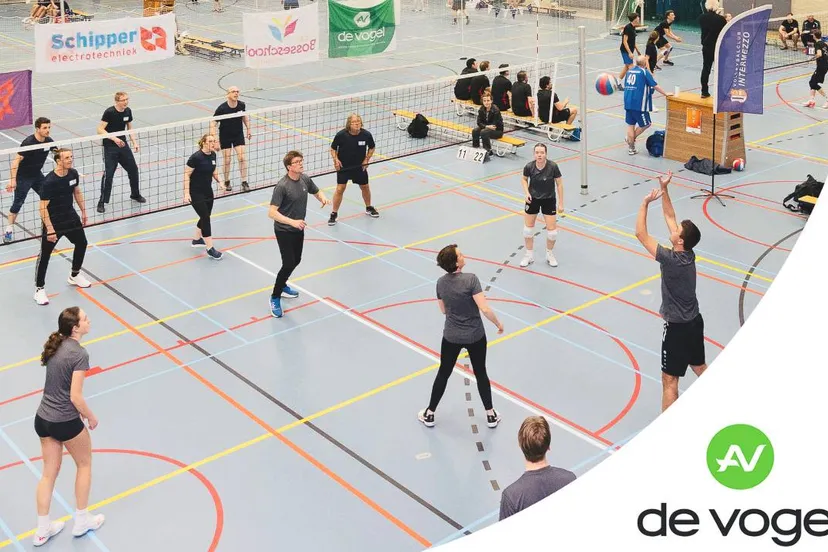 volleybaltoernooi fitr