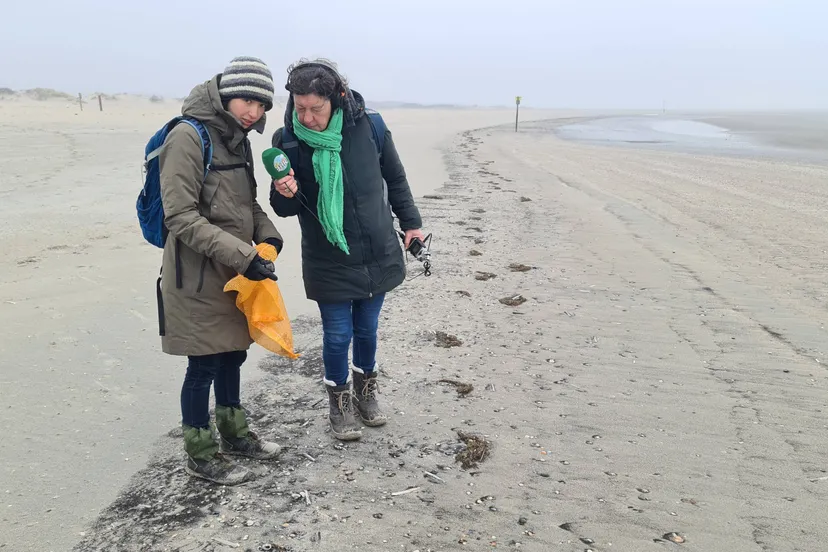 vroege vogels afval stranden