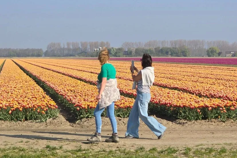 tulpentocht go 2025