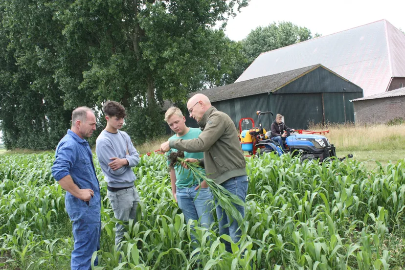 proeftuin Van Pallandtpolder