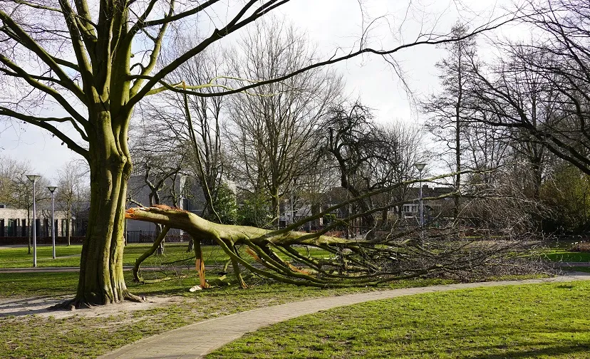 20220219 stormschade peppelgaard goirle 1