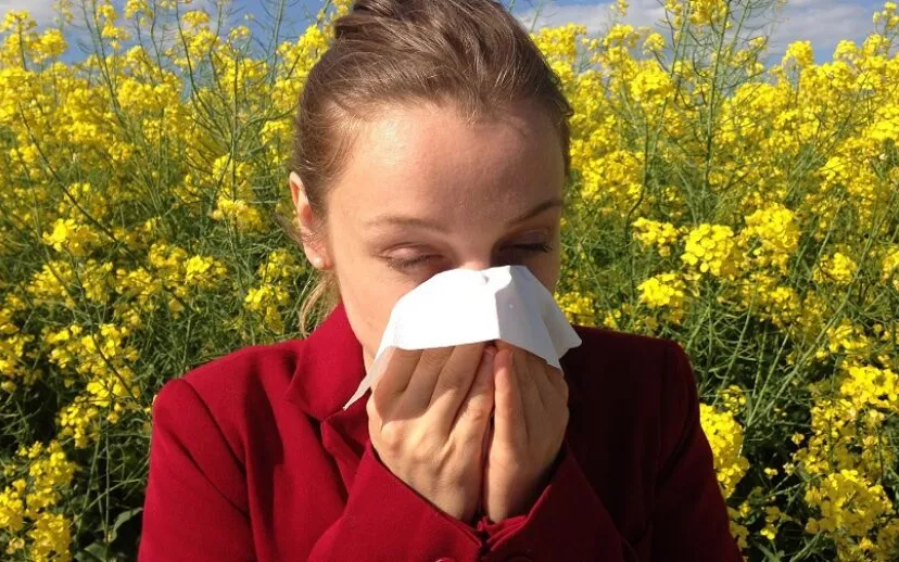 allergy g4c1b2d5f3 1920 915x518 1