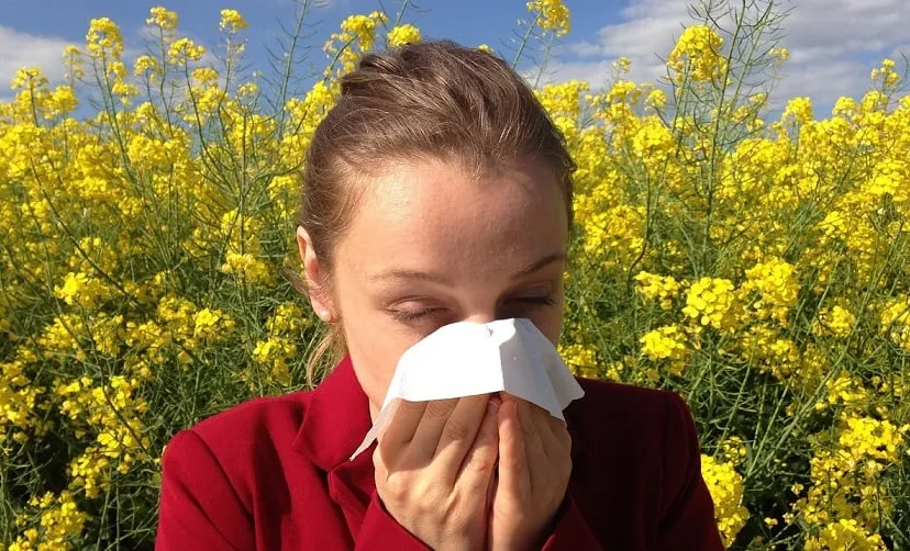 allergy g70229de15 1280