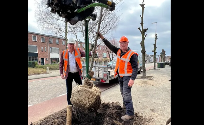 bomen