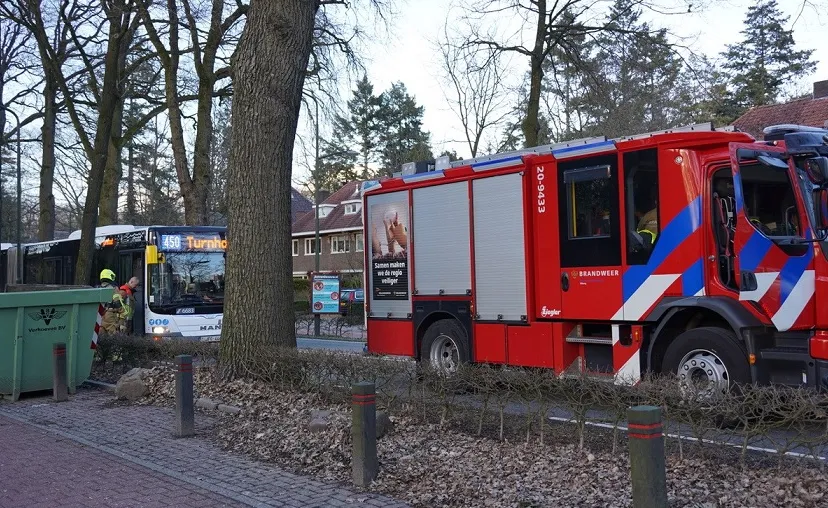 bus