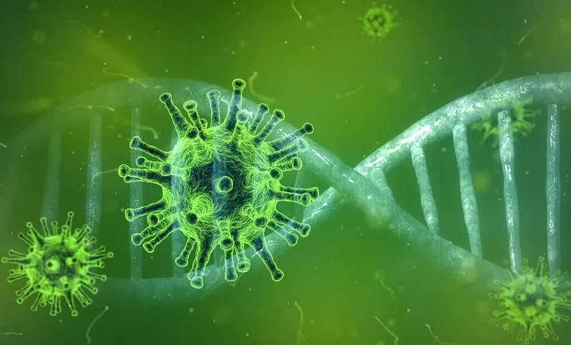 coronavirus 4833754 1920