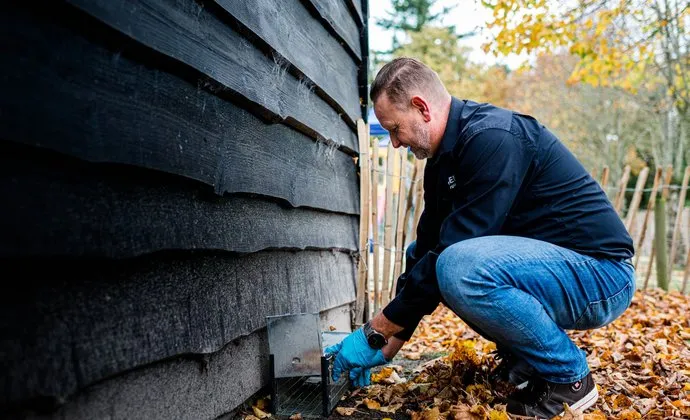 csm foto rattenbestrijding c29452a205