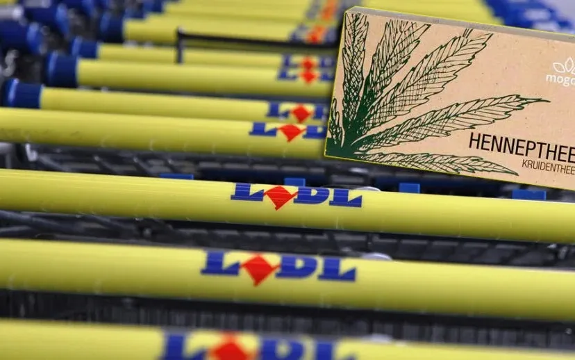 hennepthee en lidl karretjes by onderwijsgek own work cc by sa 3