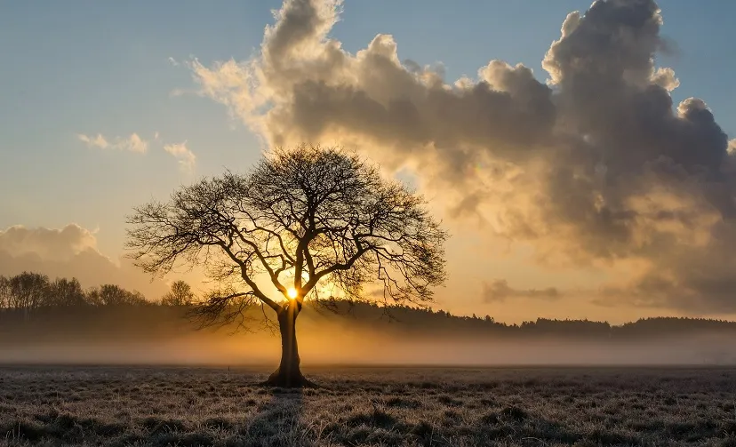herfst zon
