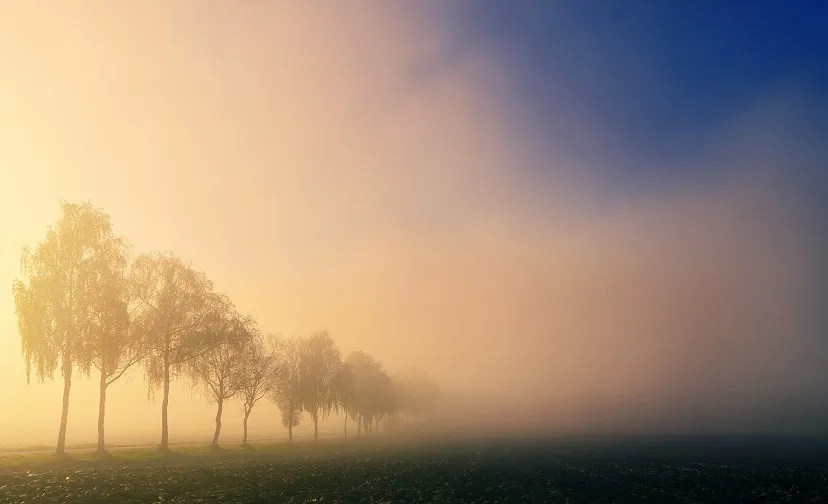 mist