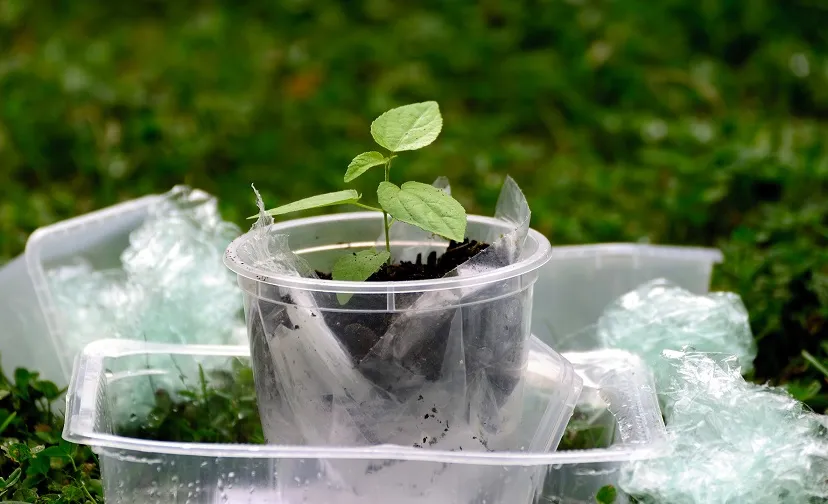 plastic 4473974 1920