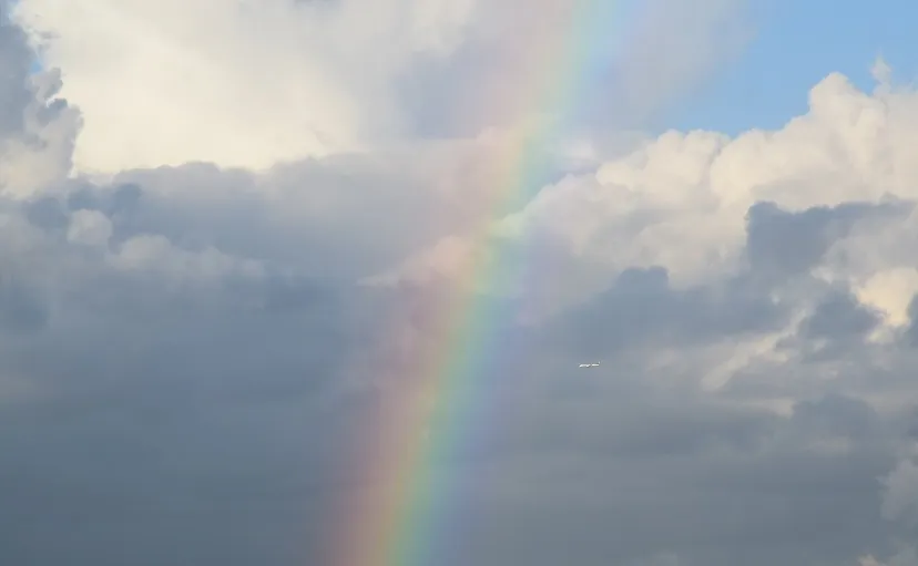 rainbow 1890853 1920