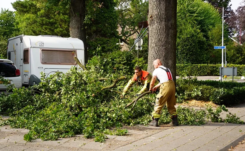 stormschade goirle