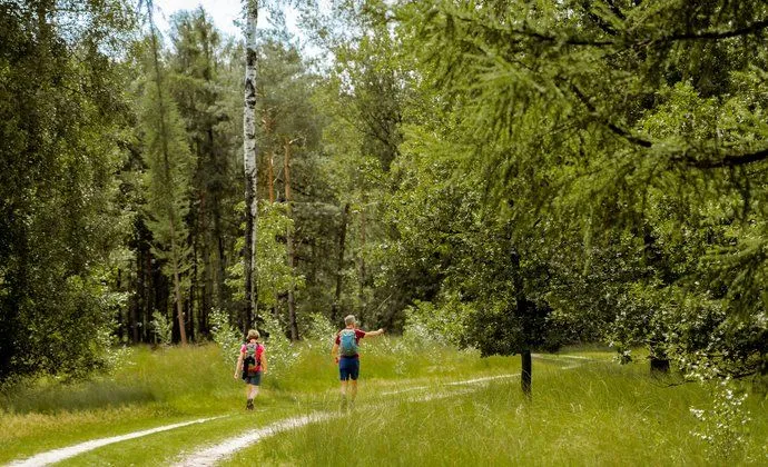 csm foto qr fit 4daac43331