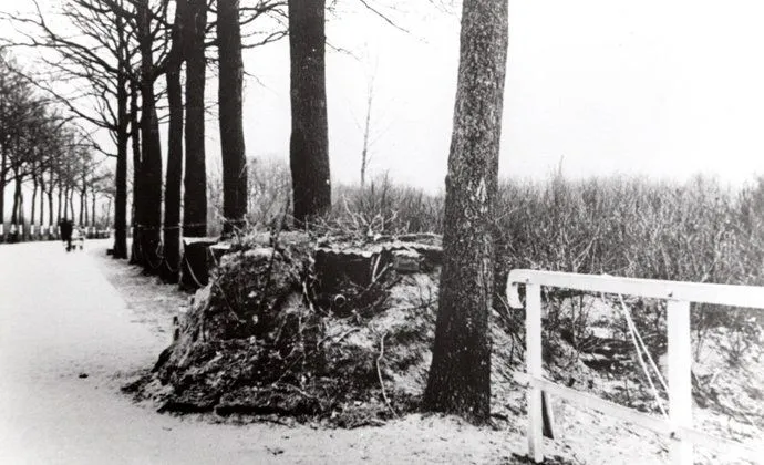 csm naamgeving brug 2f2f0f277a