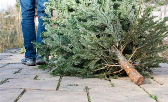 csm download 4500 s800x800 ac137619de