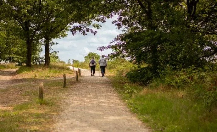 csm foto langer vitaal 60d3aff41c