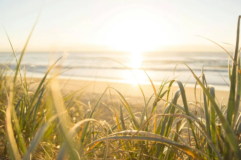 pexels mastercowley 1089168