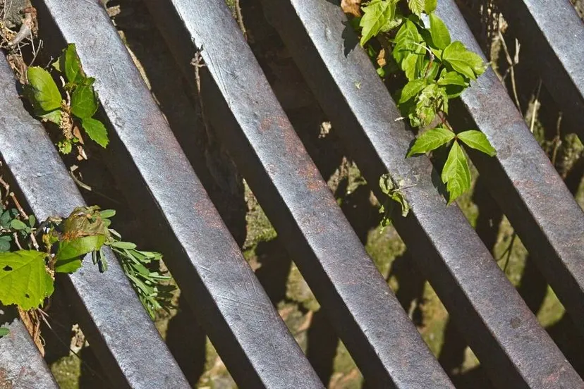 487035575 1011793554379455 3337633467868086787 n