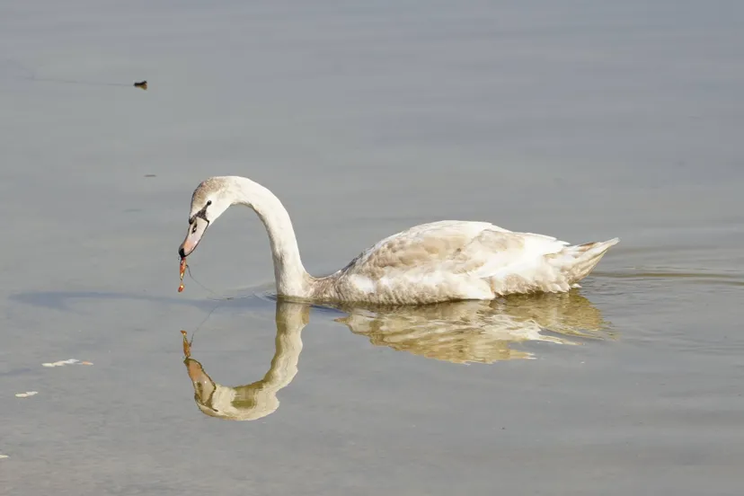 b343720c-ed8c-4a14-8afb-53c392e785f1