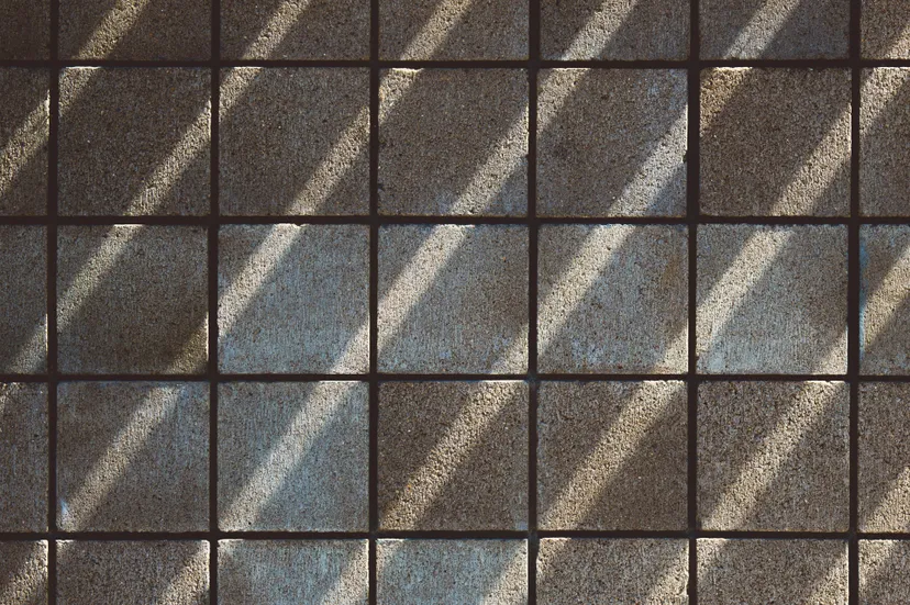 pexels timmossholder 1525937