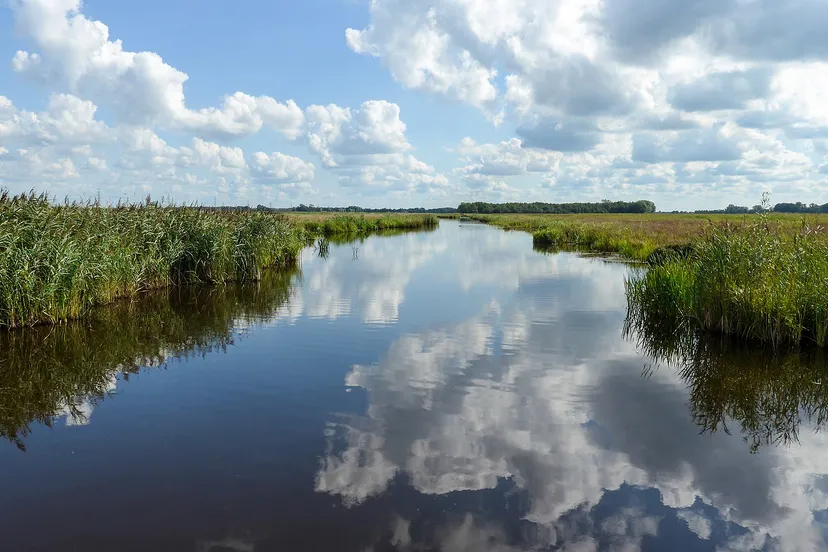 1920px 20140827 onlandsche wijk de onlanden dr nl de onlanden cc by sa 30 wikipedia commons wutsje