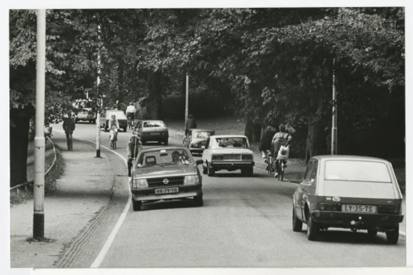 de leliesingel in het noorderplantsoen in 1985 foto frank straatemeier groninger archieven