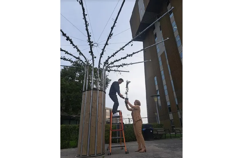 eerste klimaatboom onthuld hanzehogeschool