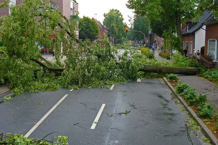 forward 567664 960 720 storm boom schade