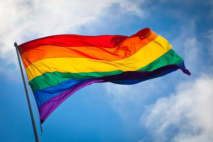 regenboogvlag rainbow flag ccby sa 20 wikipedia benson kua