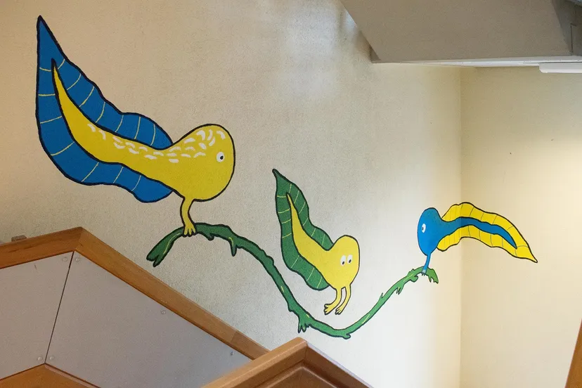 umcg web kikker dsc 0018 1 fotograaf erika buchanan