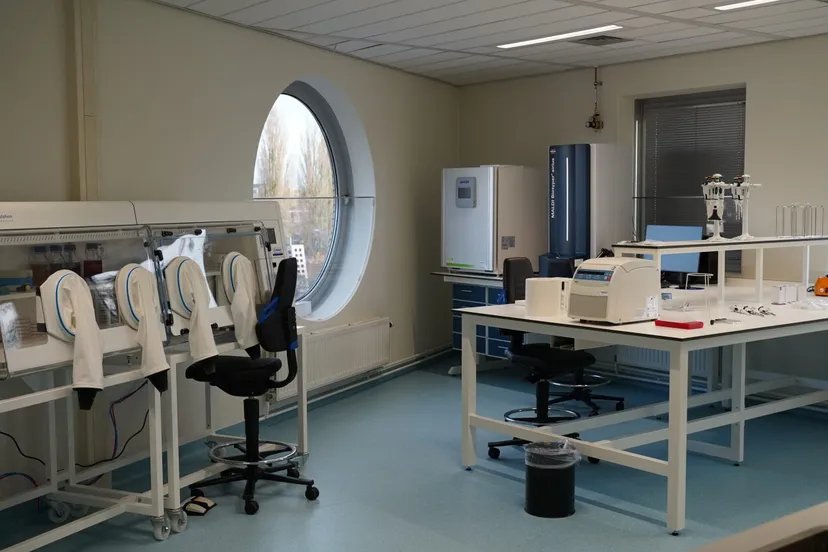 unnamed 2023 11 29t150019573