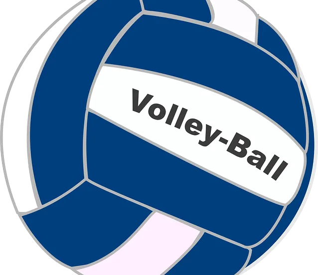 volleyball 309900 640