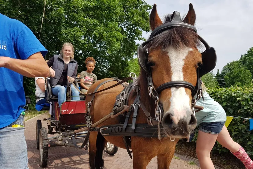 000foto7 paardenmelkerij de lage wierde