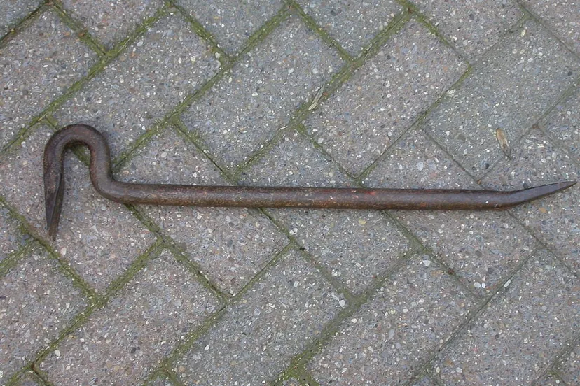 1024px koevoet cc by sa 30 lander