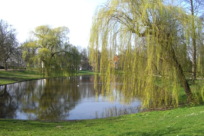 1024px noorderplantsoen cc by sa 30 bz te ga zii